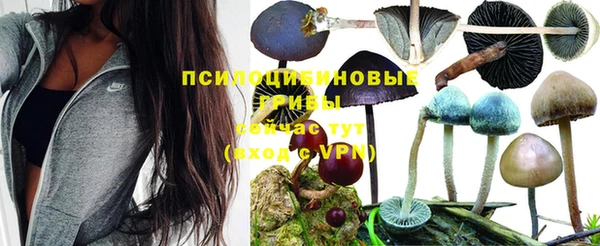не бодяженный Краснотурьинск