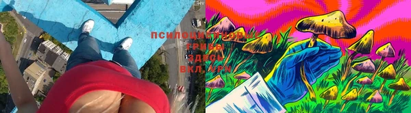 не бодяженный Краснотурьинск